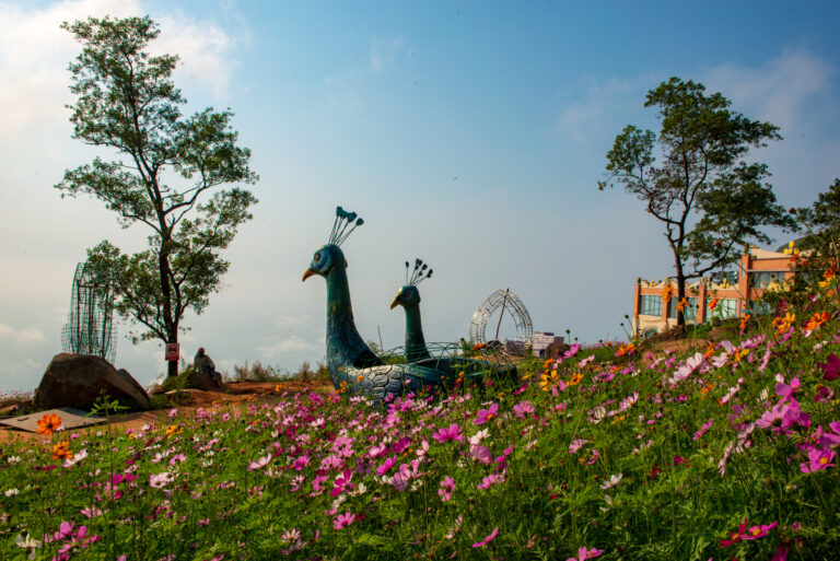 Núi Bà Đen ngọn núi cao nhất ở Đông Nam Bộ