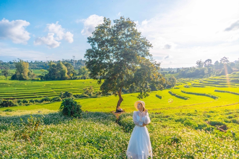 Cẩm nang du lịch Gia Lai chi tiết từ A đến Z