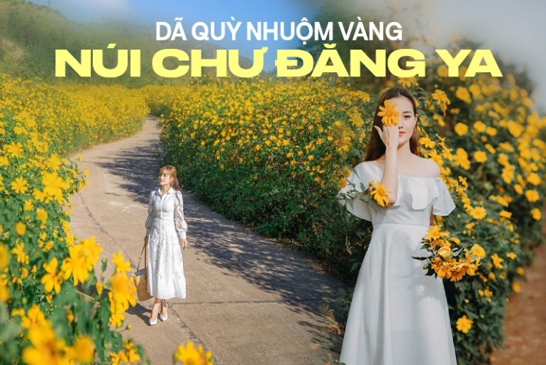 Núi lửa Chư Đăng Ya - Thiên đường Hoa dã quỳ thỏa sức sống ảo