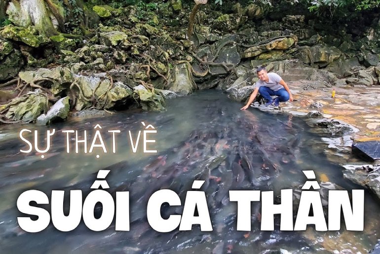 Suối cá thần Cẩm Lương - Cẩm Thủy - Thanh Hóa
