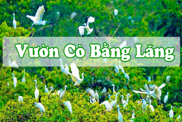 Vườn Cò Bằng Lăng Cần Thơ Văn Hóa Miền Sông Nước