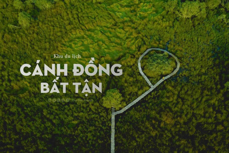 Cánh đồng bất tận Long An – vẻ đẹp hoang sơ của Đồng Tháp Mười