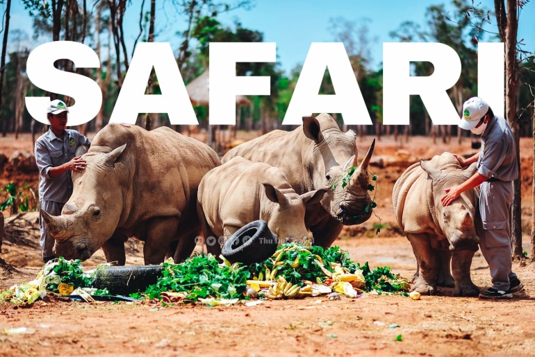 Mỹ Quỳnh Safari – Điểm đến hoang dã độc đáo giữa cửa ngõ miền Tây
