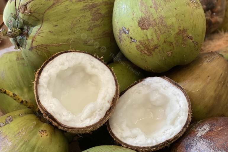 Dừa sáp Trà Vinh – Đặc sản “có một không hai” của miền Tây