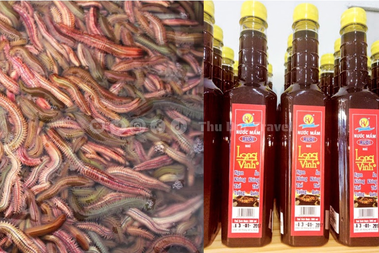 Mắm rươi Trà Vinh – Hương vị độc đáo của miền sông nước