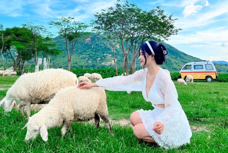 Đồng Cừu Suối Tiên – Tọa Độ Check In Cực Hot Ở Ninh Thuận