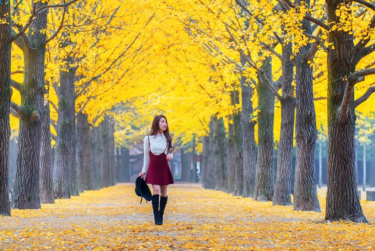 Tour Mùa Lá Đỏ Hàn Quốc - Seoul - Nami Island – Everland 4 ngày 4 đêm