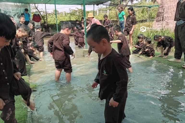 Tour Hướng Nghiệp Học Sinh Nông Trại Rồng 1 Ngày - Dragon Farm Quận 9