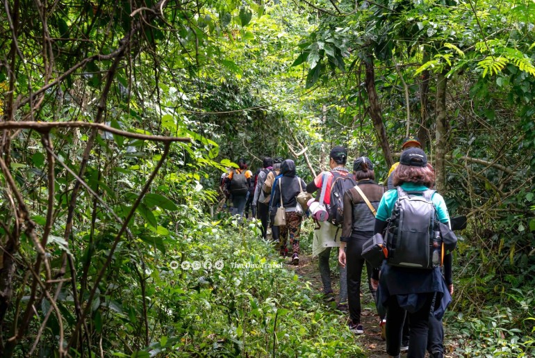 Tour Du Lịch Rừng Mã Đà - Hồ Trị An - Chiến Khu D 2 ngày 1 đêm