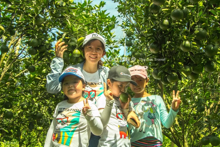 Tour Du Lịch Rừng Mã Đà - Hồ Trị An - Chiến Khu D 2 ngày 1 đêm