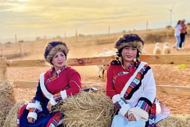 Du lịch Bình Thuận I Tour Mũi Né - Phan Thiết - Bàu Trắng 2 ngày 1 đêm